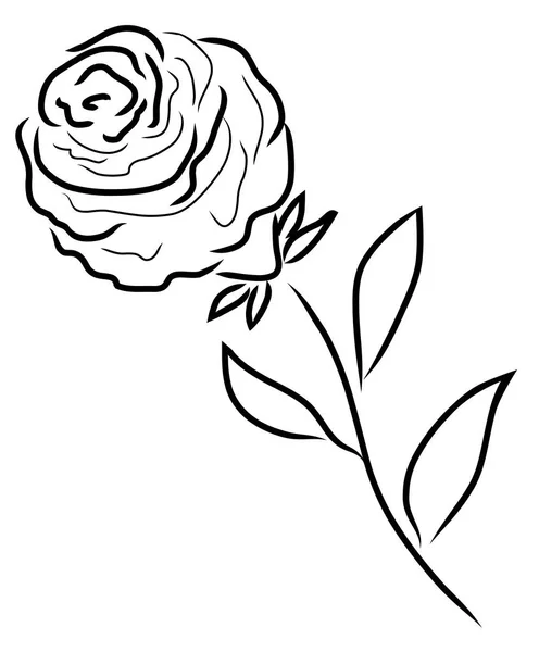 Vector rose silhouette — Stock Vector