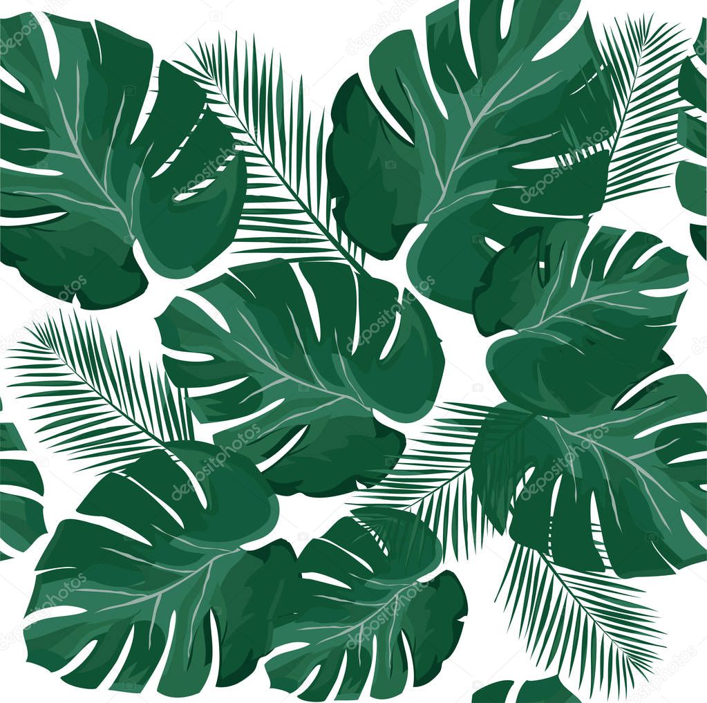 Palm Leaves Vector