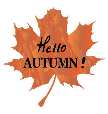 vektör akçaağaç yaprağı