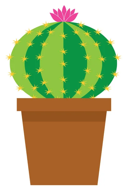 Vektor-Kaktus — Stockvektor