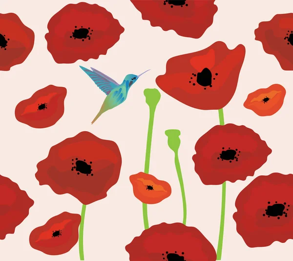 Poppies Background With Hummingbird — Stock Vector