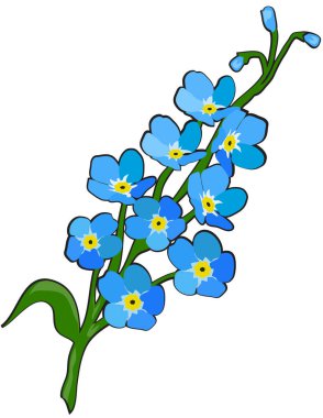 vektör çizim çiçek değil unutmak