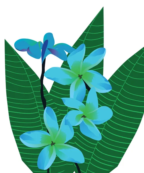 Vektor tropische Blumen — Stockvektor