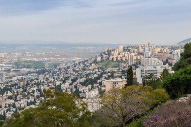 Haifa İsrail görünümünü