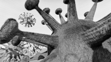 Corona Virüsü Covid 19