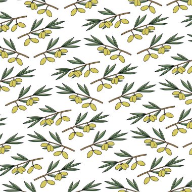 Zeytin ağacı dalının resmi. Kusursuz desen. Vektör çizimi. Hatıra eşyaları için en iyisi..