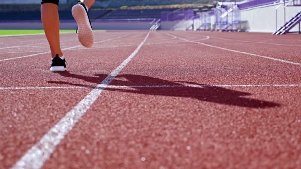 Corredor de pista atleta mujer calentando antes de correr en un estadio, piernas solamente — Vídeos de Stock
