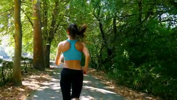 Камера слежения за женщиной, бегающей в зеленом парке — стоковое видео