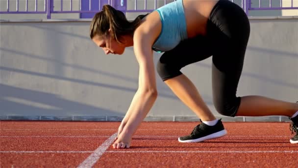 Spår runner kvinna att sätta händerna på startlinjen — Stockvideo