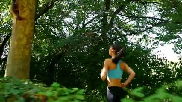A nő lány futás, kocogás, egy zöld parkban, lassú mozgás nyomkövető kamera — Stock videók