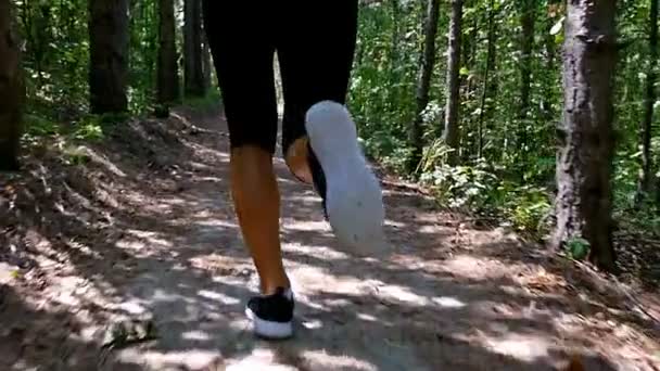 Camera van vrouw meisje met joggen in het park, hout, woud, slow-motion tracking — Stockvideo