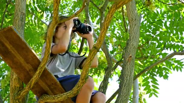 Boy spying with binoculars at the top of the tree — Stock video