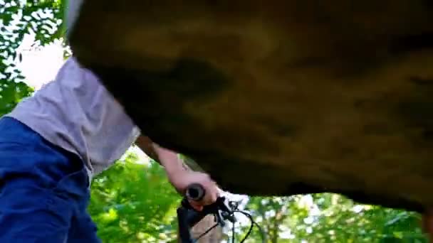 Ángulo bajo de un niño montando en bicicleta, ramas de árbol por encima de él, de cerca, en cámara lenta — Vídeos de Stock