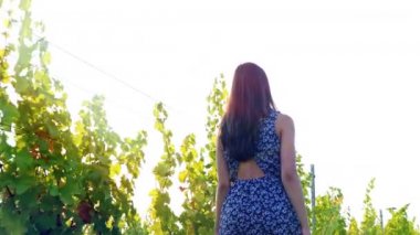 Genç ve güzel kadın bağ günbatımında dans