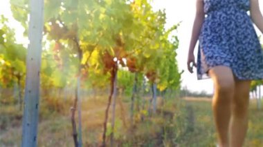 Güzel genç kadın kesme grup günbatımı mahzeninde üzüm