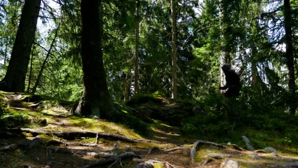 Homme à capuchon courant dans le bois — Video