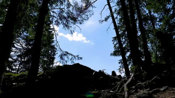 Hooded man running in the wood, slow motion — Stock Video