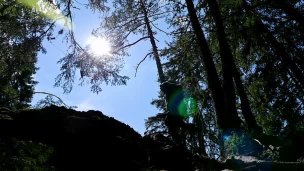 Kapuzenmann läuft im Wald, Zeitlupe — Stockvideo