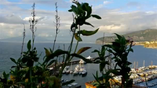 Узбережжя Сорренто, затоку та Везувій на тлі, яхти в передній — стокове відео