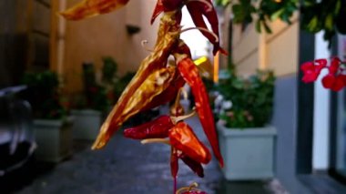 Sorrento, İtalya, dar sokak önünde turist çekmek için biber kurutulmuş