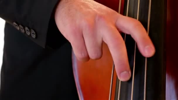 Detail shot of a musician playing on a contrabass — Stock Video