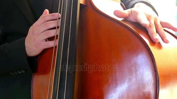 Detail shot of a musician playing on a contrabass — Stock Video