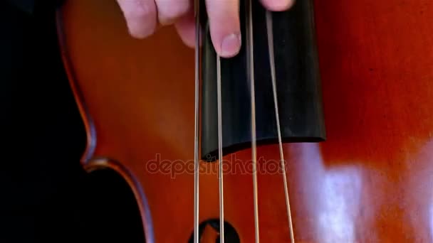 Detail shot of a musician playing on a contrabass — Stock Video