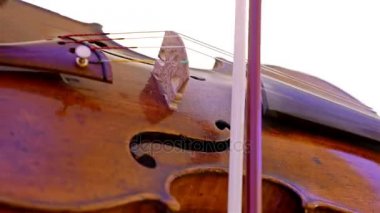 A nikah eğlenti keman oynamaya müzisyen