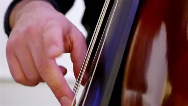 Dettaglio ripresa di un musicista che suona su un contrabbasso — Video Stock