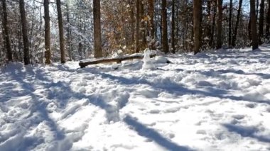 Ormanda karlı kış yürüyüş, steadicam vurdu