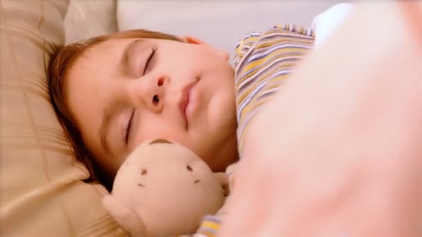 Portrait of 3 years old boy sleeping with teddy bear. His mother hand caressing him. — Stock Video