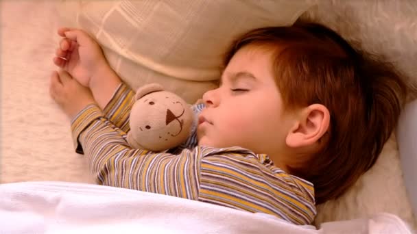 Portrait of 3 years old boy sleeping with teddy bear. His mother hand caressing him. — Stock Video