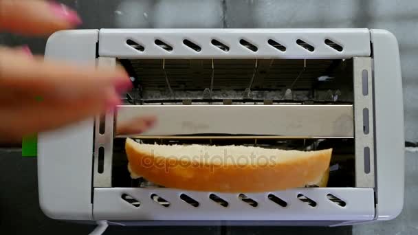 Mano femenina poniendo pan tostado en la máquina tostadora, vista superior — Vídeo de stock