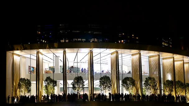 Gente en la terraza más grande del Dubai Mall que ofrece vistas al Burj Khalifa y a la Fuente de Dubai por la noche — Vídeos de Stock