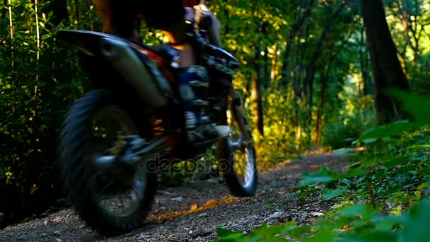 Motorcrosser rijden in de groene bossen in de bergen, slow-motion — Stockvideo