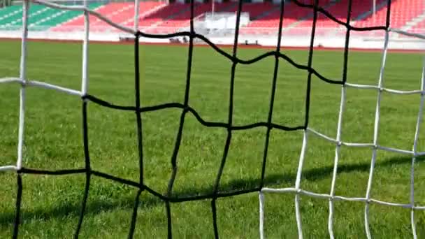 Detalhe Tiro Futebol Futebol Porta Net — Vídeo de Stock