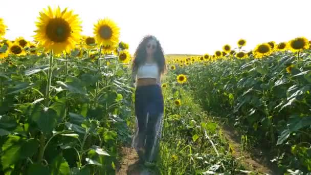 Hermosa Mujer Chica Feliz Caminando Campo Girasol Puesta Del Sol — Vídeos de Stock