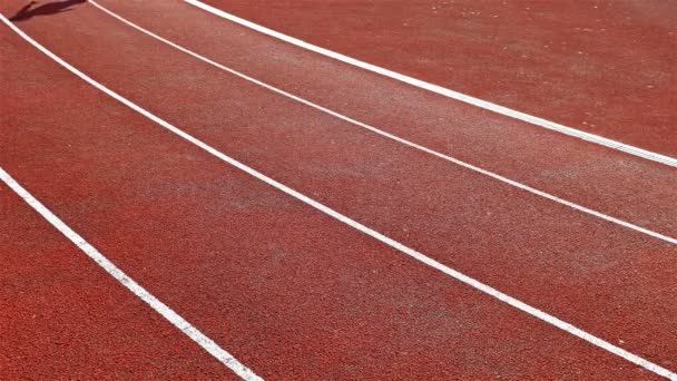 Track Runner Woman Girl Running Stadium Low Angle — Stock Video