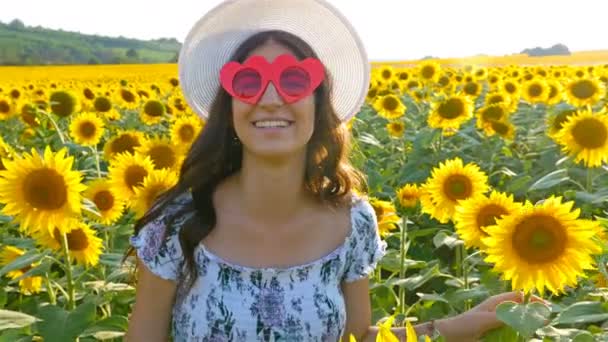 Hermosa Mujer Feliz Chica Sonriendo Con Gafas Sol Divertidas Campo — Vídeos de Stock