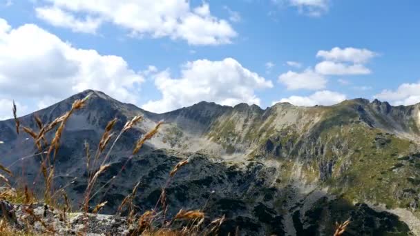 Pirin 불가리아에서에서 풍경을 구름의 — 비디오