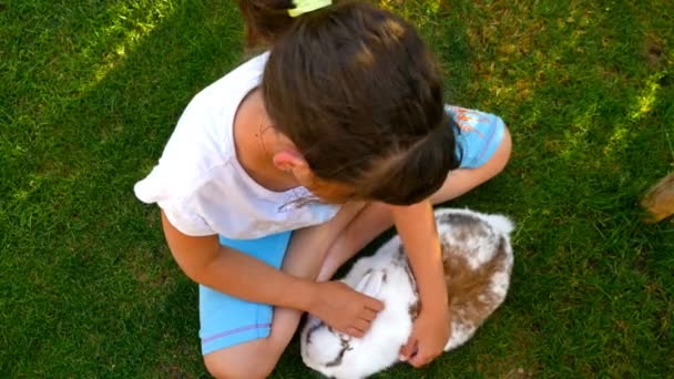 Vista Superior Una Niña Pequeña Acariciando Esponjoso Conejo Blanco Hierba — Vídeos de Stock