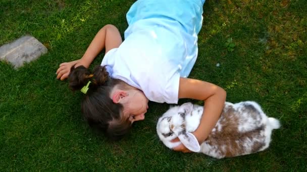 Top View Little Girl Petting Fluffy White Rabbit Green Grass — Stock Video