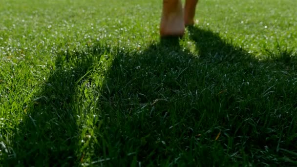 Γυμνά Πόδια Της Γυναίκας Περπατώντας Πάνω Πράσινο Χόρτο Πεδίο Ελευθερία — Αρχείο Βίντεο