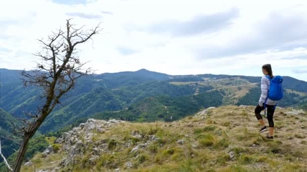 Χαμηλή Γωνία Της Γυναίκας Πεζοπορία Στην Κορυφή Του Βουνού Στο — Αρχείο Βίντεο