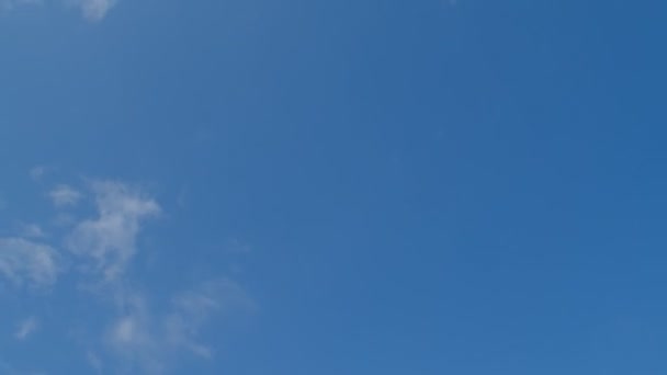 可愛いです9 10歳の女の子とともに巻き毛楽しいですジャンプでトランポリン青い空の背景 4Kスローモーションローアングルビュー — ストック動画