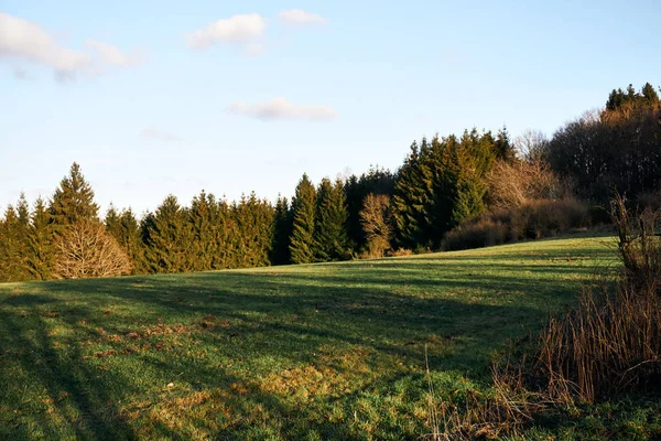 Prado en el borde del bosque fotografiado en enero en el Eifel Alemania . — Foto de Stock