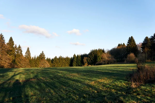1月にアイフェル・ドイツで撮影された森の端の牧草地. — ストック写真
