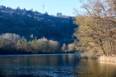 Lüksemburg 'da bir kış günü Echternach Gölü.