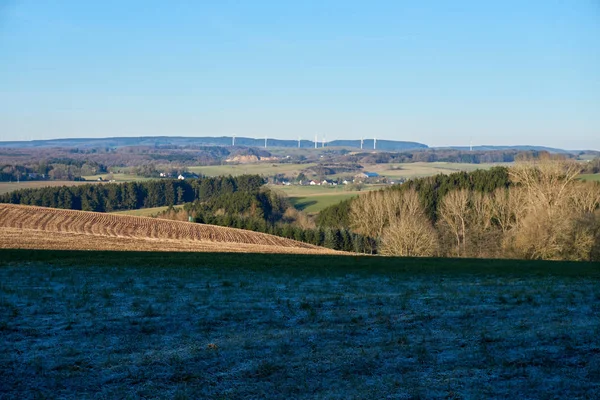 Frosty groen Eifel landschap gefotografeerd in januari — Stockfoto