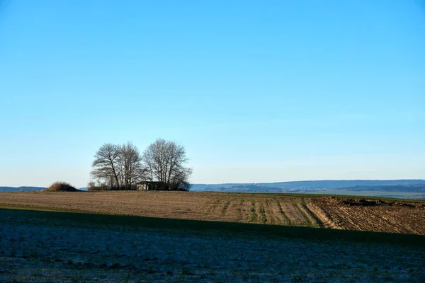 Mroźny zielony krajobraz Eifel sfotografowany w styczniu — Zdjęcie stockowe